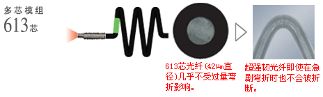 多芯模组613芯