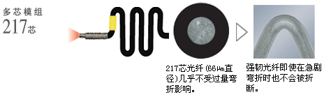 多芯模组217芯